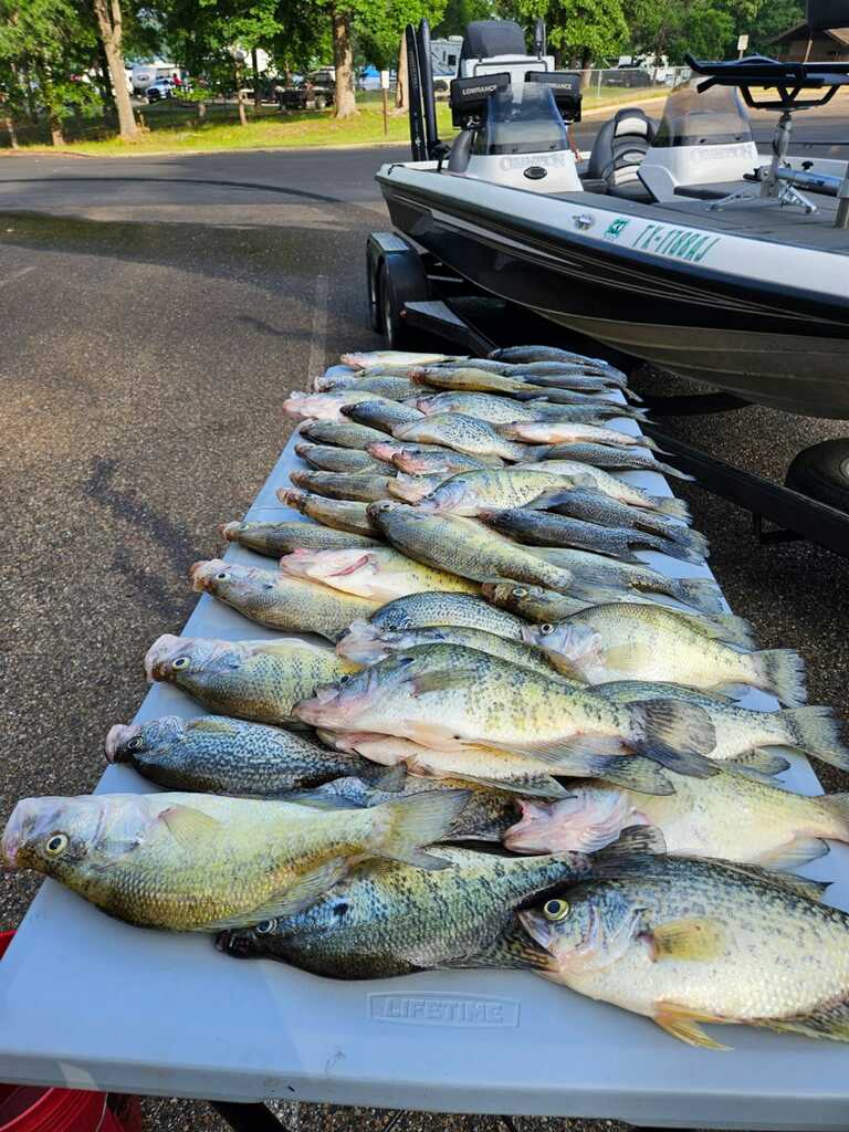 table of crappie